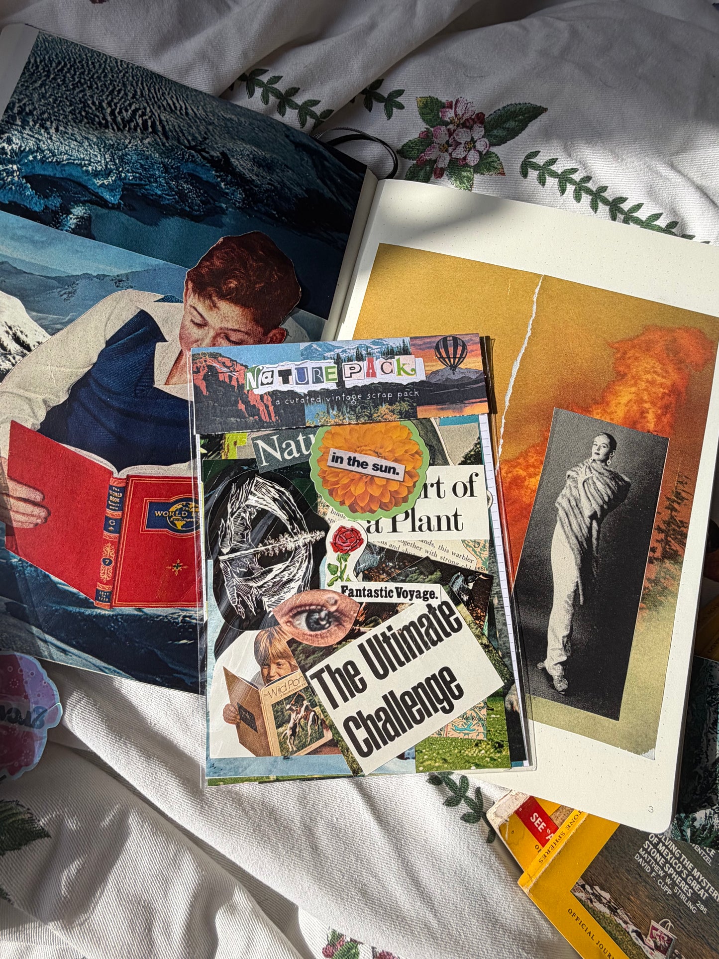 Vintage Nature Pack